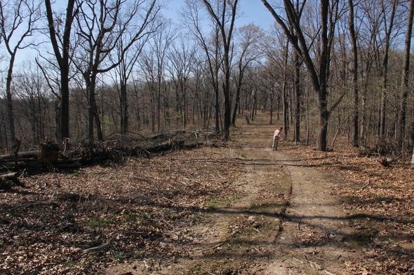 Land management workshop
