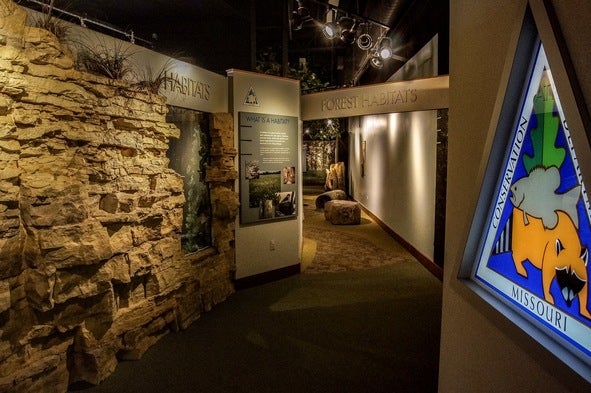 Exhibits have reopened after extensive renovations at MDC’s Runge Nature Center in Jefferson City. 