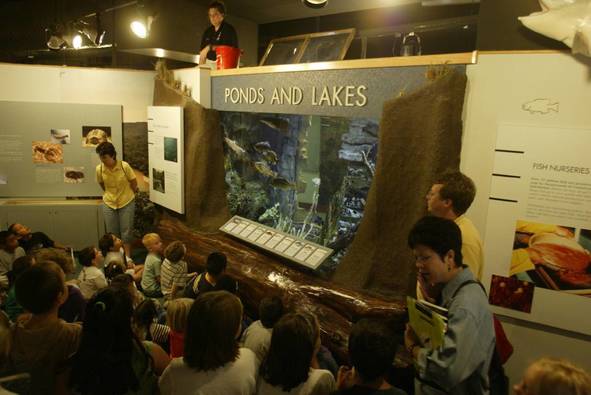 Runge Exhibits