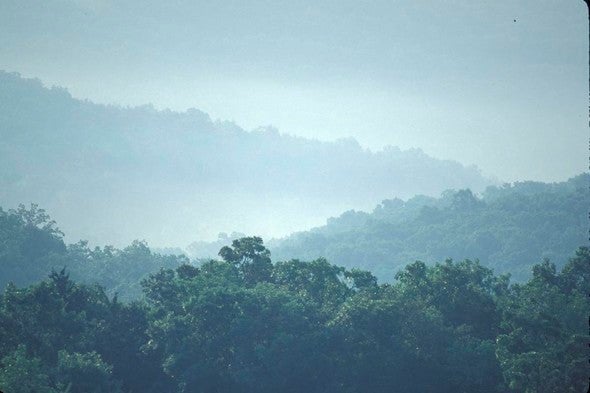A view of Ruth and Paul Henning Conservation Area in Taney County.