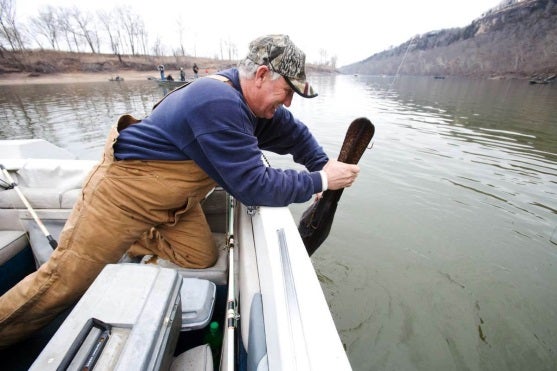 A man getting a paddlefish off his line.