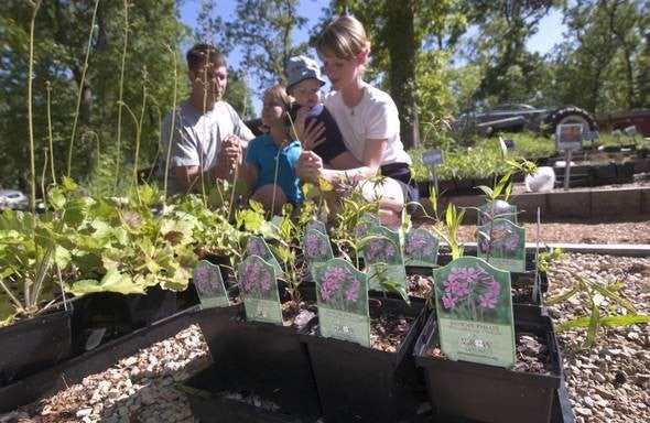 Attendees peruse native plants at a past Springfield Nature Center native plant sale.