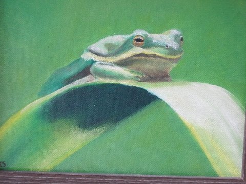 St. Louis nature exhibit painting of a frog.