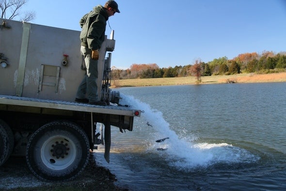 MDC fisheries staff stocking rainbow trout.