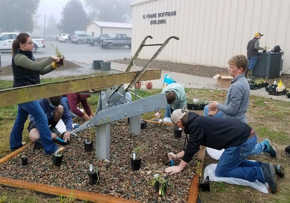 Trenton High School students plant wildflowers for pollinators