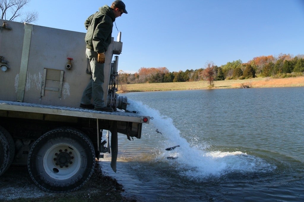 MDC staff look on as they release rainbow trout into a lake.