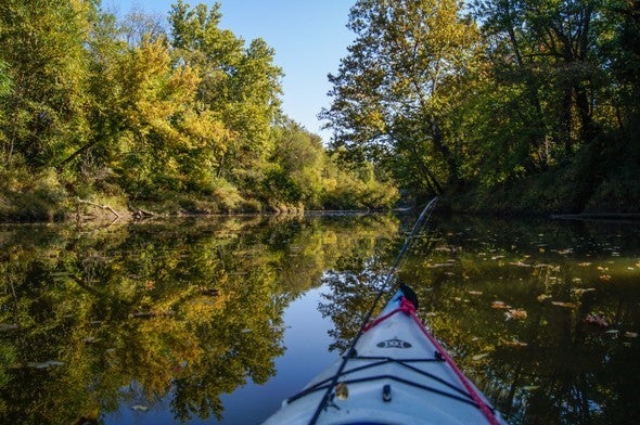 Kayaking on the Wyaconda River