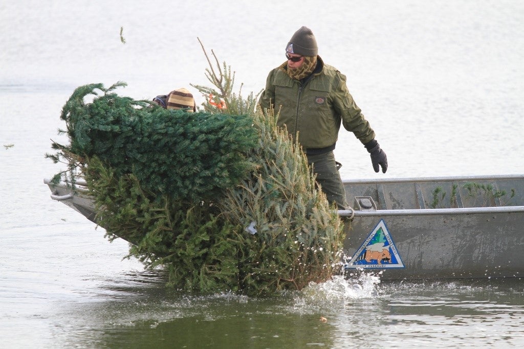 An MDC Fisheries biologist throws a used Christmas tree into a body of water to provide cover and habitat for fish.