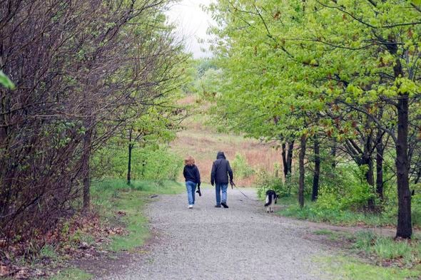People walking on a trail.