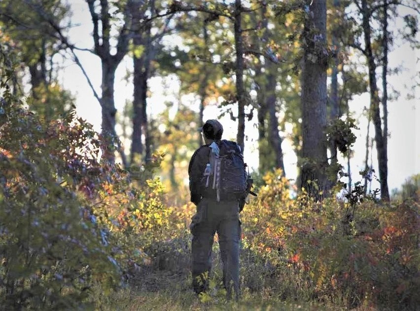 Backpacker hiking