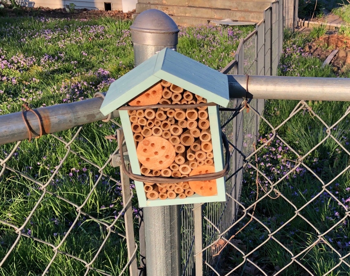 bee house containing individual nesting holes