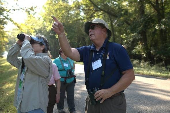 several birders looking for a bird