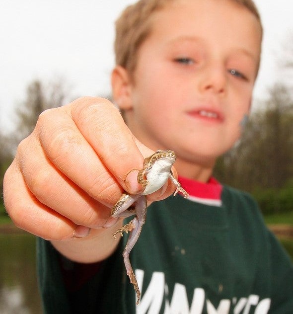 boy holding frog