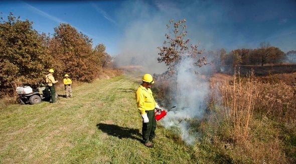 three MDC staff conduct a prescribed burn