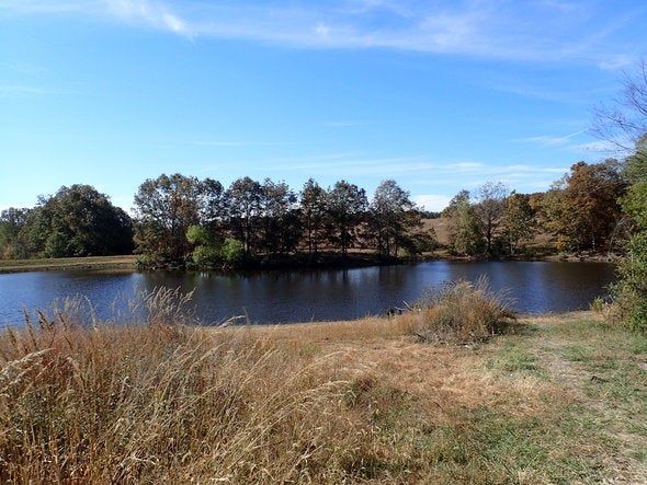 conservation area