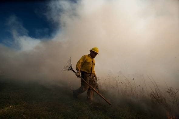 staff person doing a prescribed burn