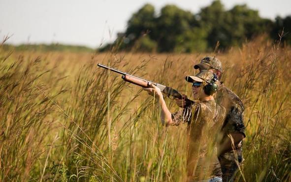 Dove season 