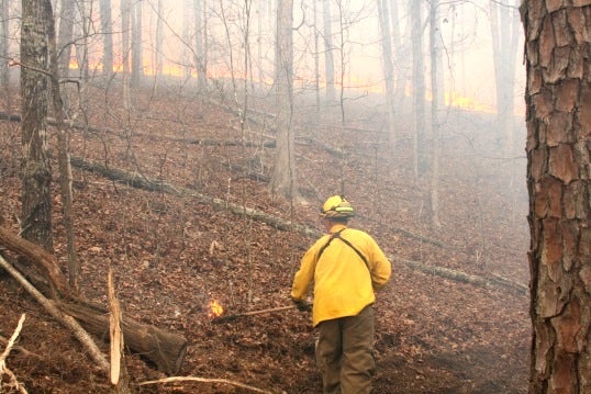 fighting wildfires