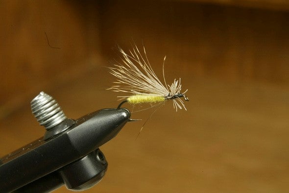 fishing fly