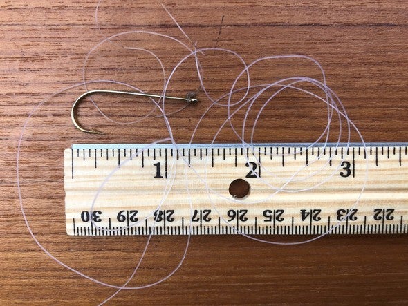 A fishing line and hook swallowed by a dog.