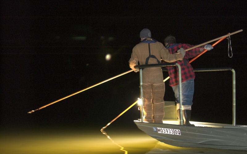 two people gig from a boat at night