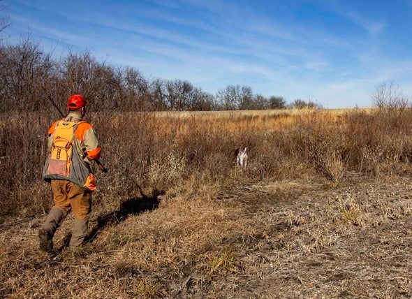 hunter following dog