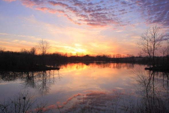 large pond