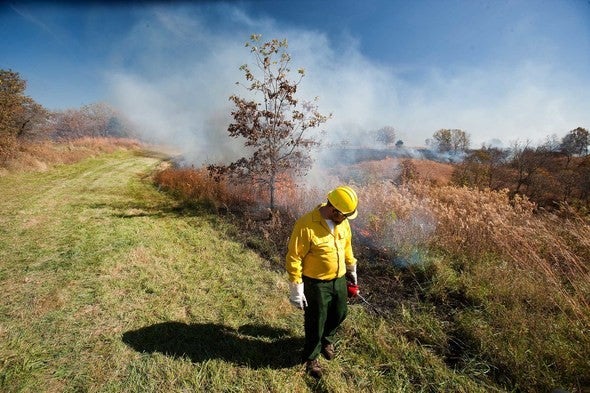 lighting a prescribed burn