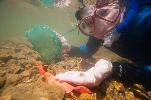  A boy discovers nature through snorkeling.