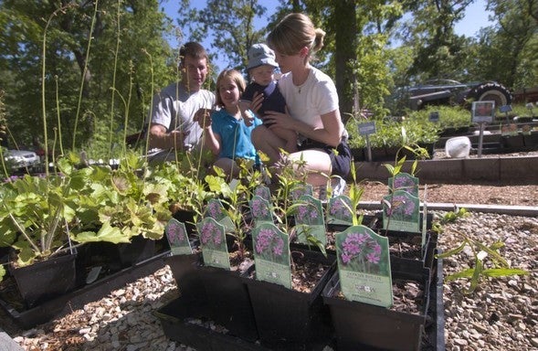 A family browses the plants during a native plant sale.