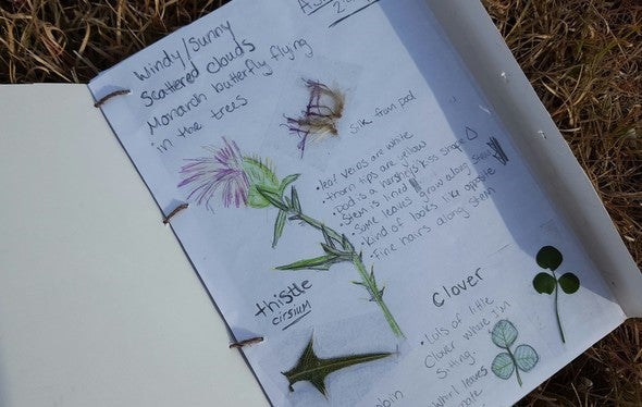 nature journal