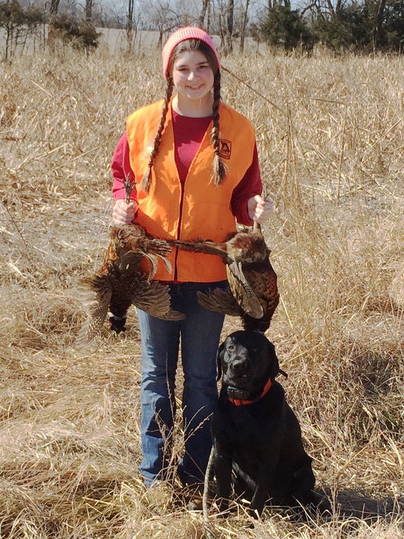 pheasant hunting