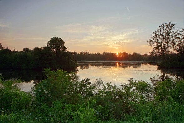 pond at sunset
