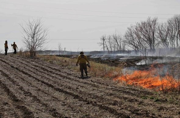 MDC staff conduct a prescribed burn