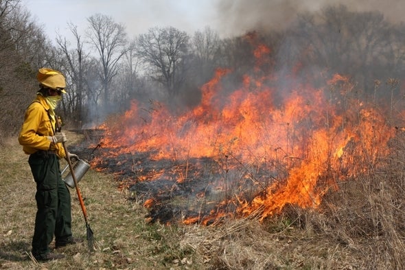 Prescribed Burn