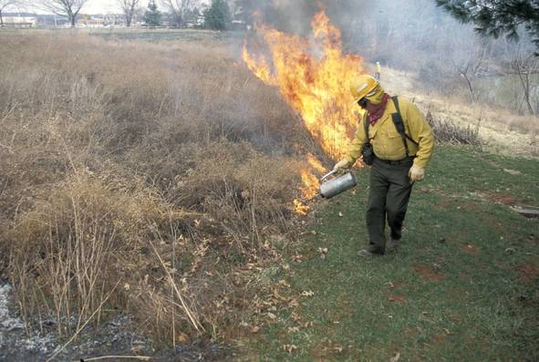 Prescribed fire workshop