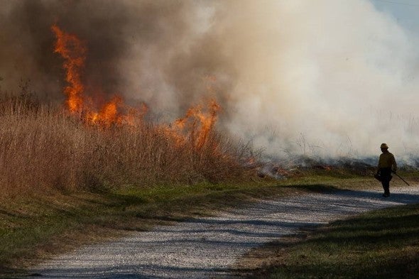 prescribed fire