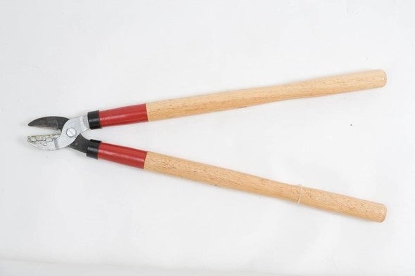 Pruning shears