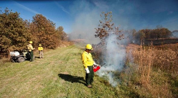 MDC staff managing a prescribed burn.