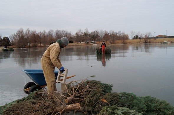 MDC staff submerging Christmas trees for fish habitat