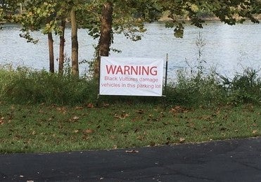 vulture warning sign