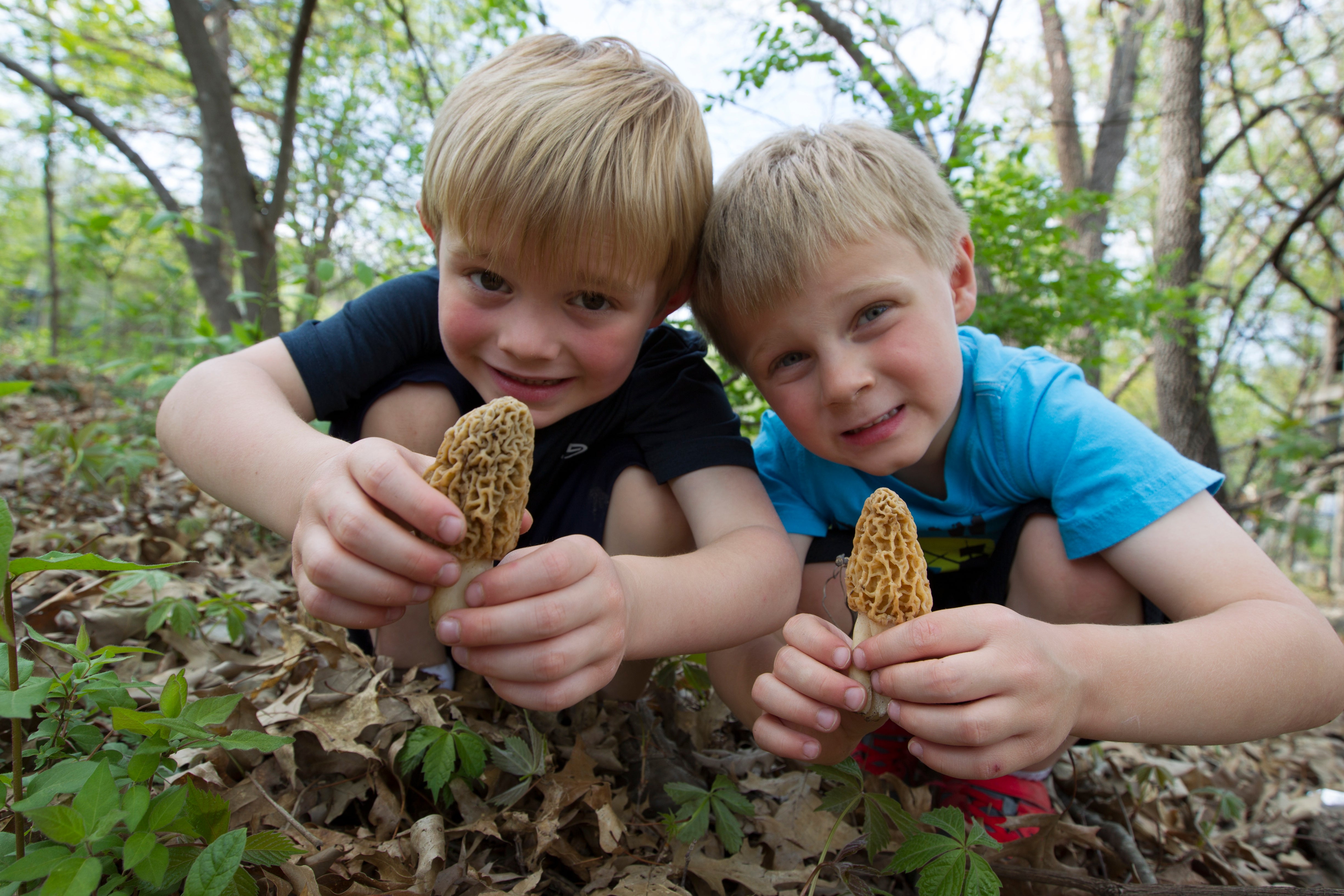 Two boys with morels
