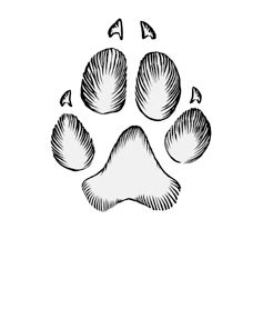 Illustration of a single gray wolf track