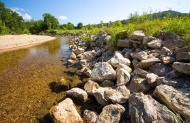 Helping to halt stream bank erosion
