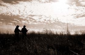2 men quail hunting