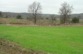 Open grassland area