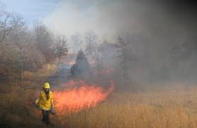 fireman administering a controlled burn