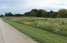 Gravel road along a meadow at Ray (J Thad) Mem WA
