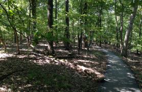 Paved path at Rockwoods Reservation