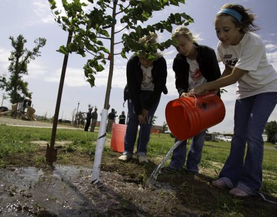 A young woman watering a newly planted tree